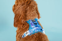 All Rounder Dog Harness Blue Me Away