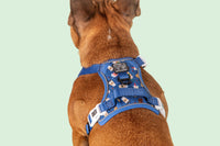 All-Rounder Dog Harness Cafe O'Clock