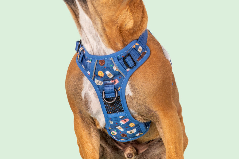 All-Rounder Dog Harness Cafe O&