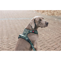 All Rounder Dog Harness Camouflaged