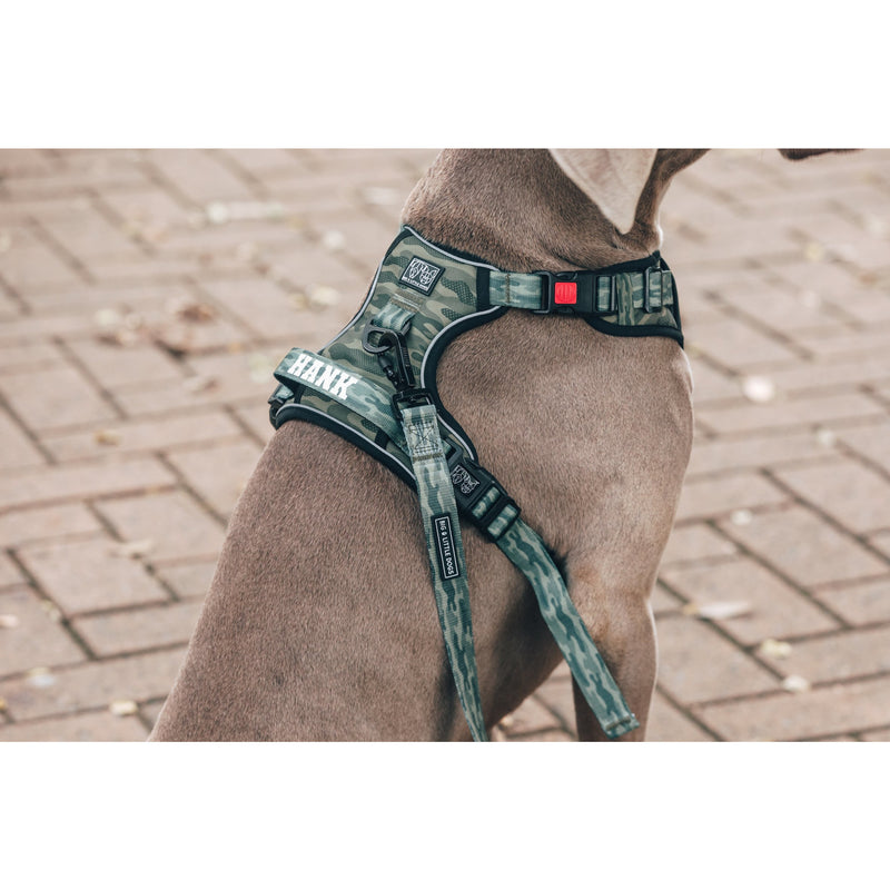 All Rounder Dog Harness Camouflaged
