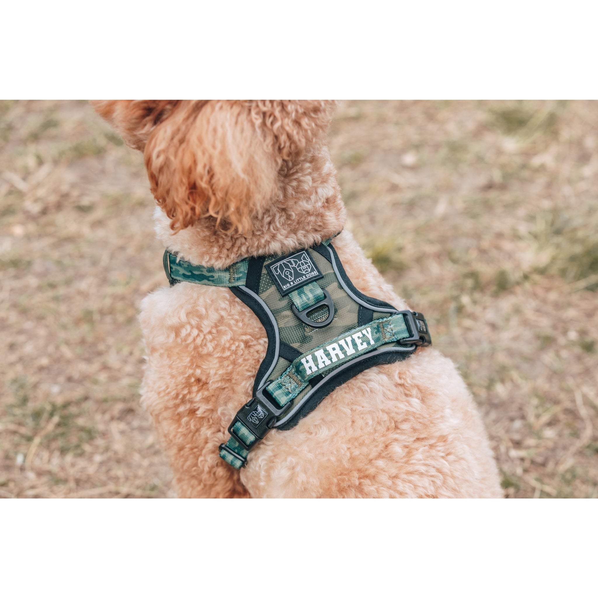 All Rounder Dog Harness Camouflaged