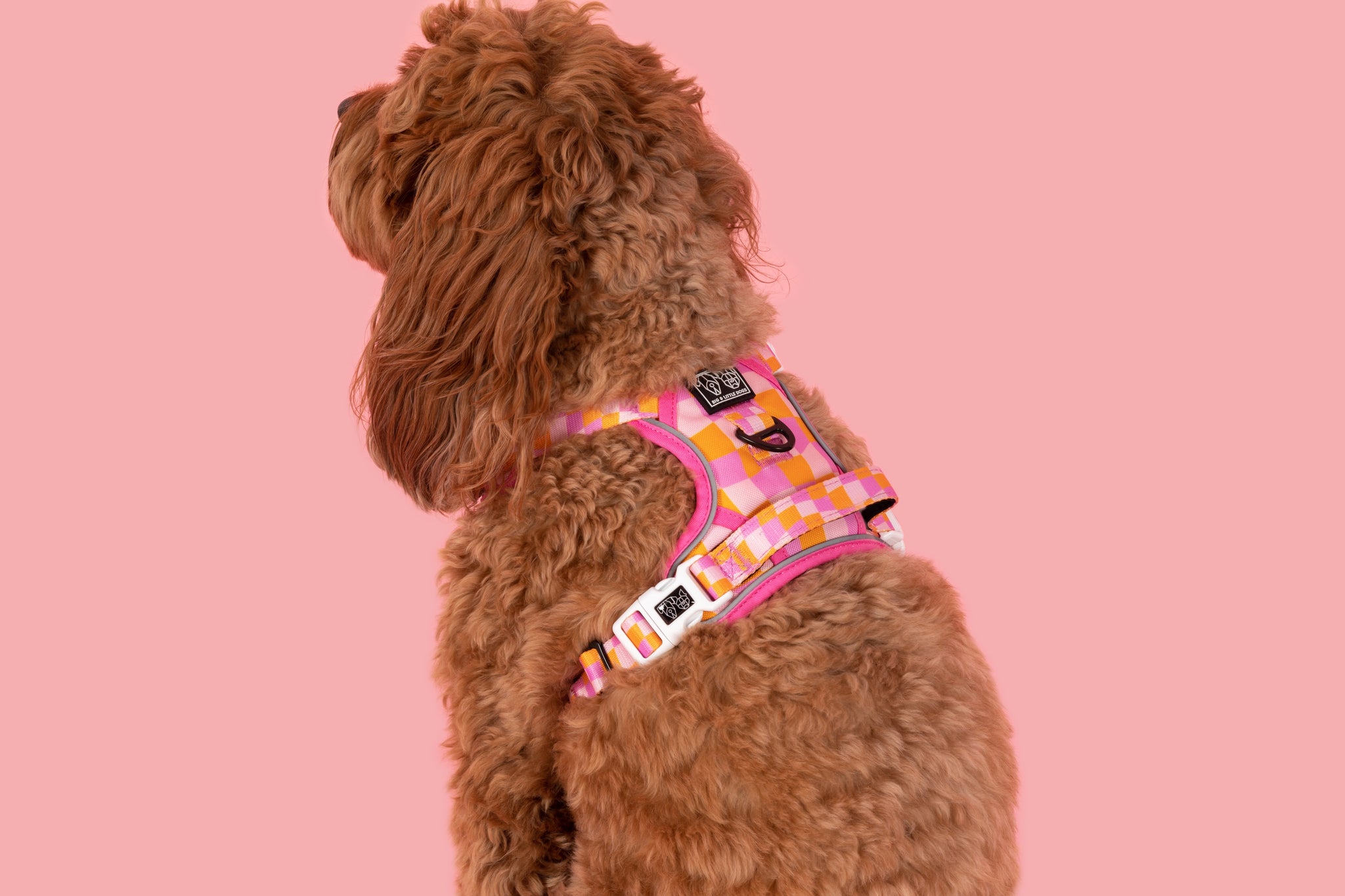 THE ALL-ROUNDER DOG HARNESS: Check Yo'Self {FINAL SALE}