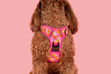 THE ALL-ROUNDER DOG HARNESS: Check Yo'Self {FINAL SALE}