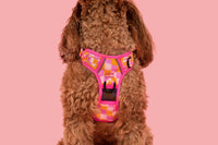 THE ALL-ROUNDER DOG HARNESS: Check Yo'Self {FINAL SALE}