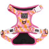 THE ALL-ROUNDER DOG HARNESS: Check Yo'Self {FINAL SALE}