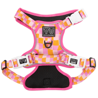 THE ALL-ROUNDER DOG HARNESS: Check Yo'Self {FINAL SALE}