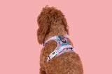 THE ALL-ROUNDER DOG HARNESS: Cloudland {FINAL SALE}