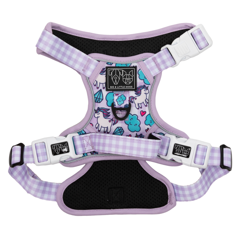 THE ALL-ROUNDER DOG HARNESS: Cloudland