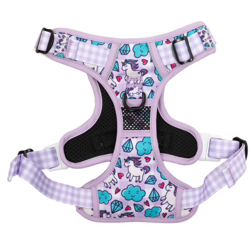 THE ALL-ROUNDER DOG HARNESS: Cloudland
