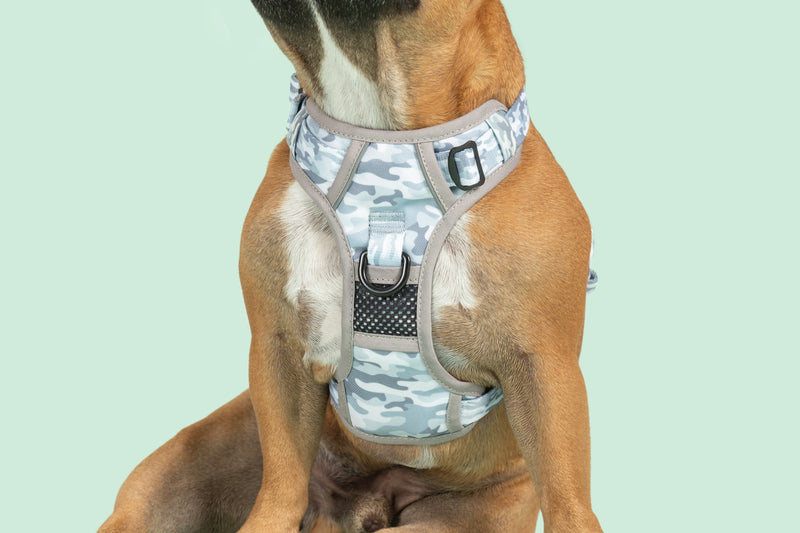 THE ALL-ROUNDER DOG HARNESS: Grey Camo