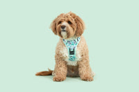 THE ALL-ROUNDER DOG HARNESS: Koala-fied Tree Hugger {FINAL SALE}