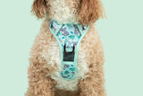 THE ALL-ROUNDER DOG HARNESS: Koala-fied Tree Hugger {FINAL SALE}