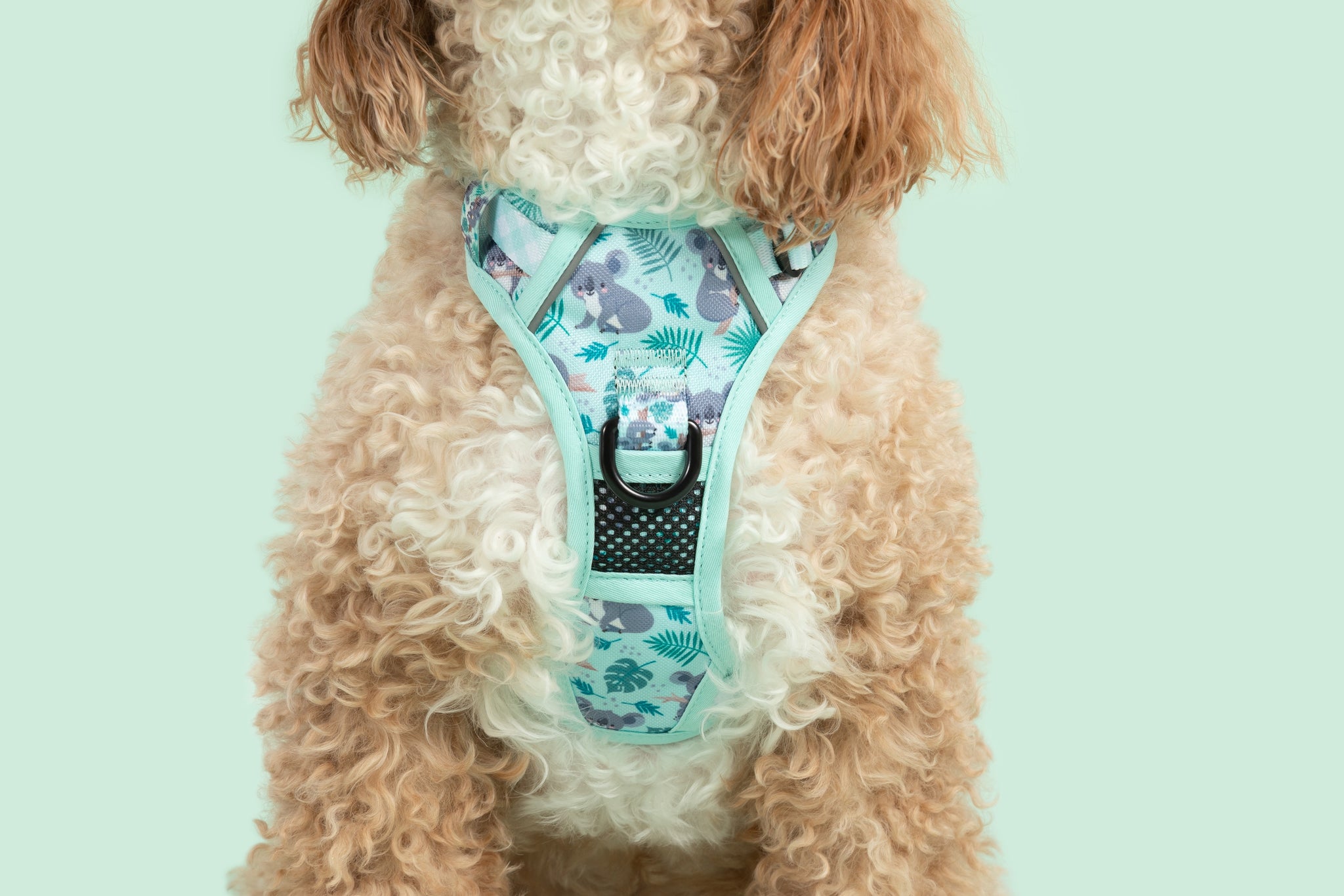 THE ALL-ROUNDER DOG HARNESS: Koala-fied Tree Hugger {FINAL SALE}