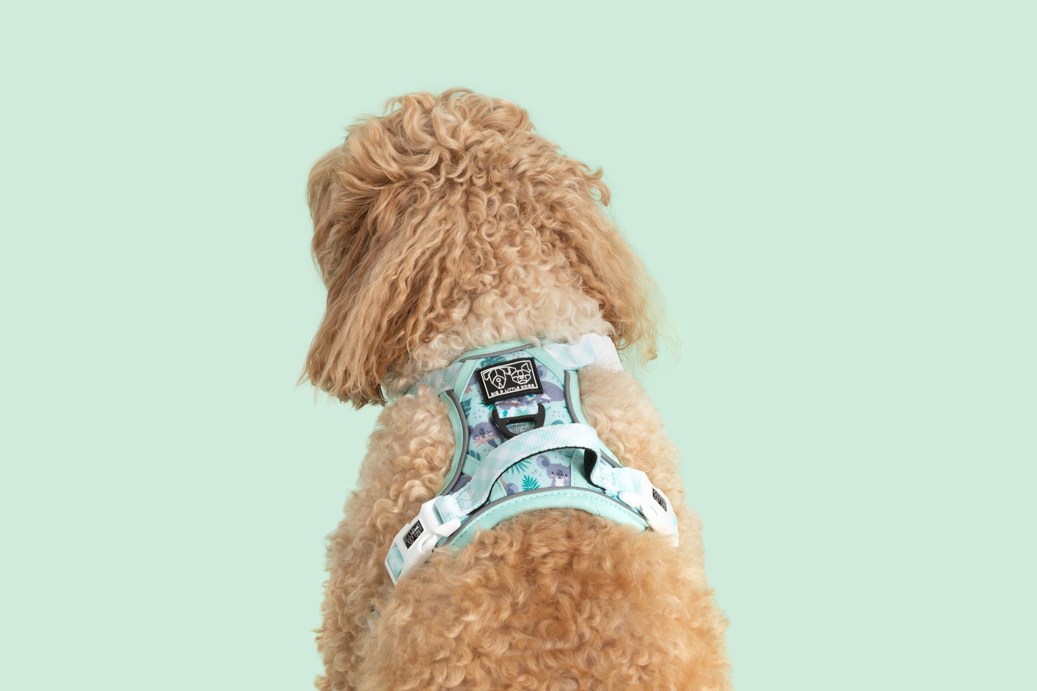 THE ALL-ROUNDER DOG HARNESS: Koala-fied Tree Hugger {FINAL SALE}