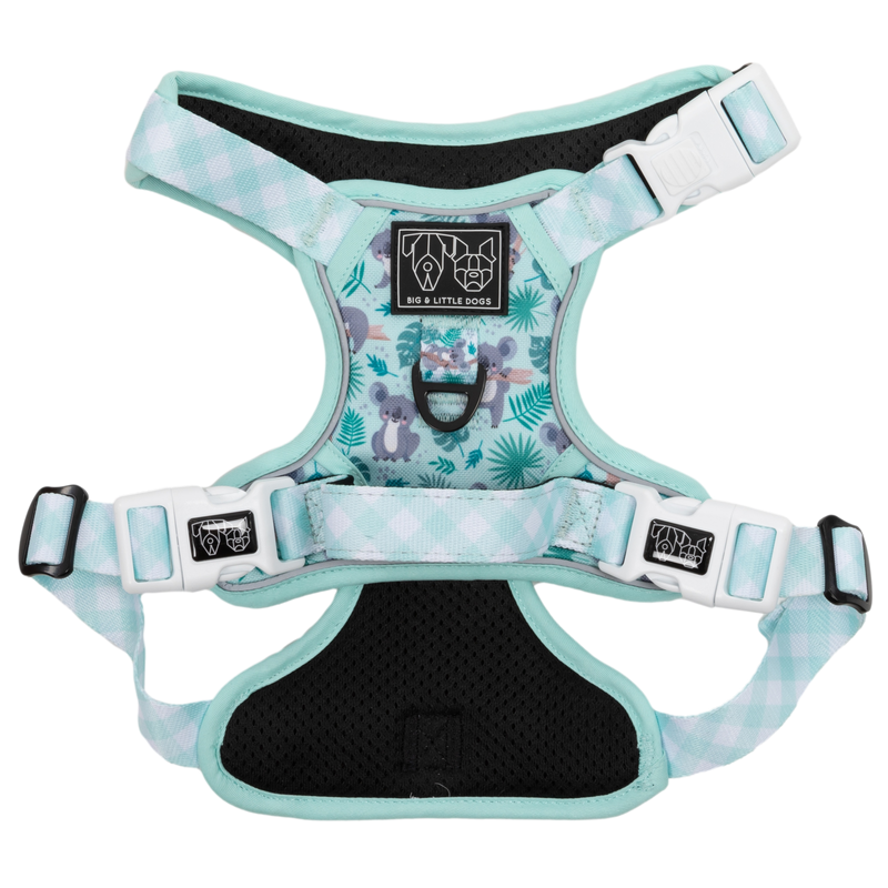 Big little dogs deals harness