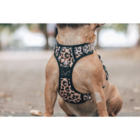 All Rounder Dog Harness Luxurious Leopard