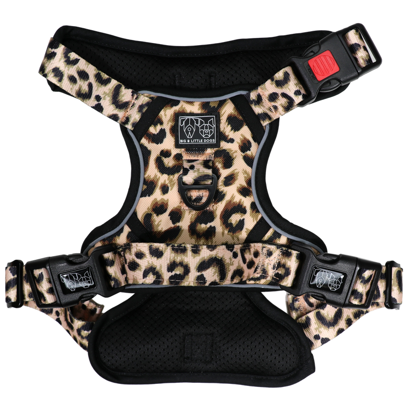 Leopard dog deals harness