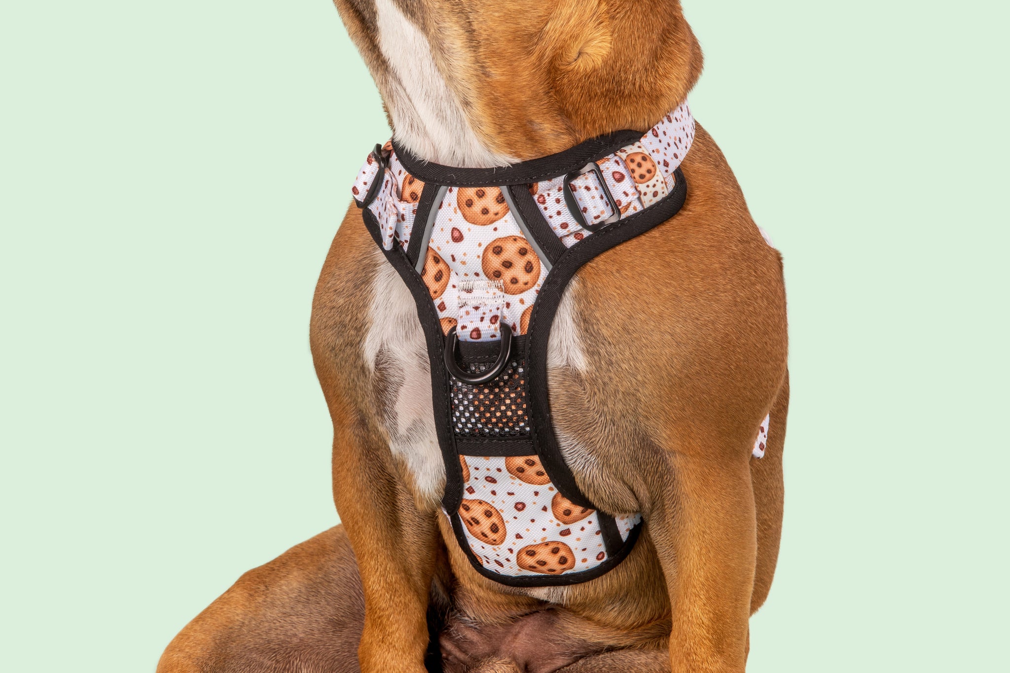 All-Rounder Dog Harness One Cute Cookie