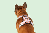 All-Rounder Dog Harness One Cute Cookie