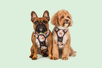 All-Rounder Dog Harness One Cute Cookie