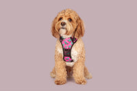 All Rounder Dog Harness Princess-asaurus