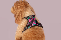 All Rounder Dog Harness Princess-asaurus