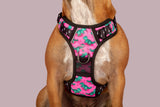 All Rounder Dog Harness Princess-asaurus