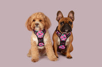 All Rounder Dog Harness Princess-asaurus