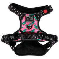 All Rounder Dog Harness Princess-asaurus