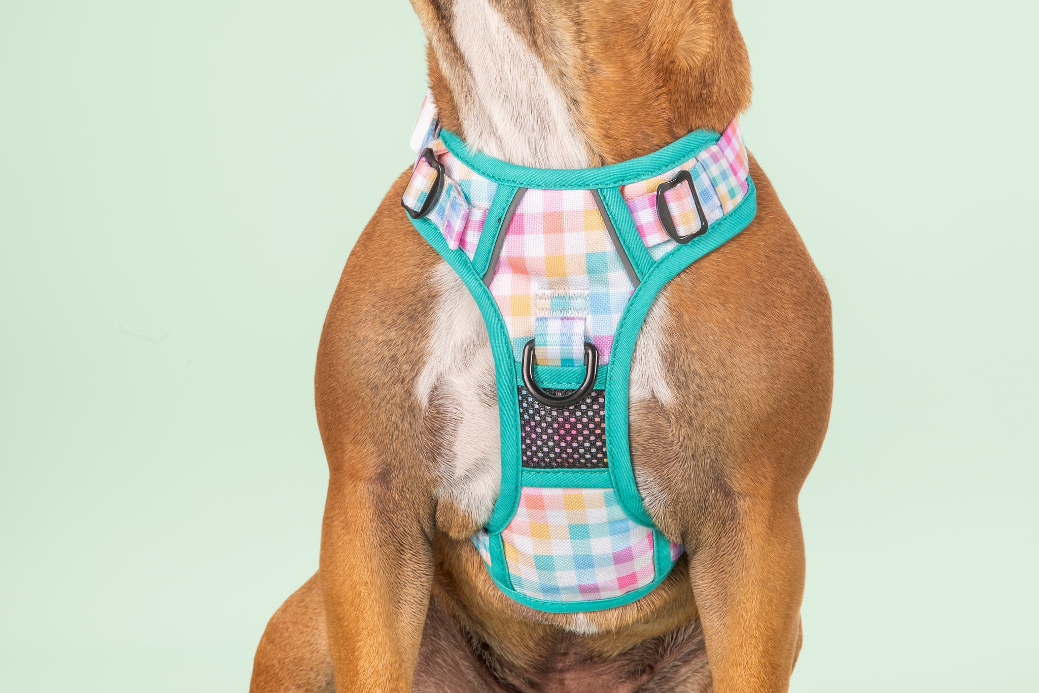 All-Rounder Dog Harness Rainbow Gingham