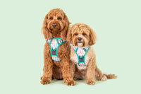 All-Rounder Dog Harness Rainbow Gingham