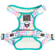 All-Rounder Dog Harness Rainbow Gingham