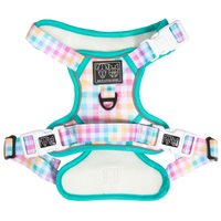 All-Rounder Dog Harness Rainbow Gingham