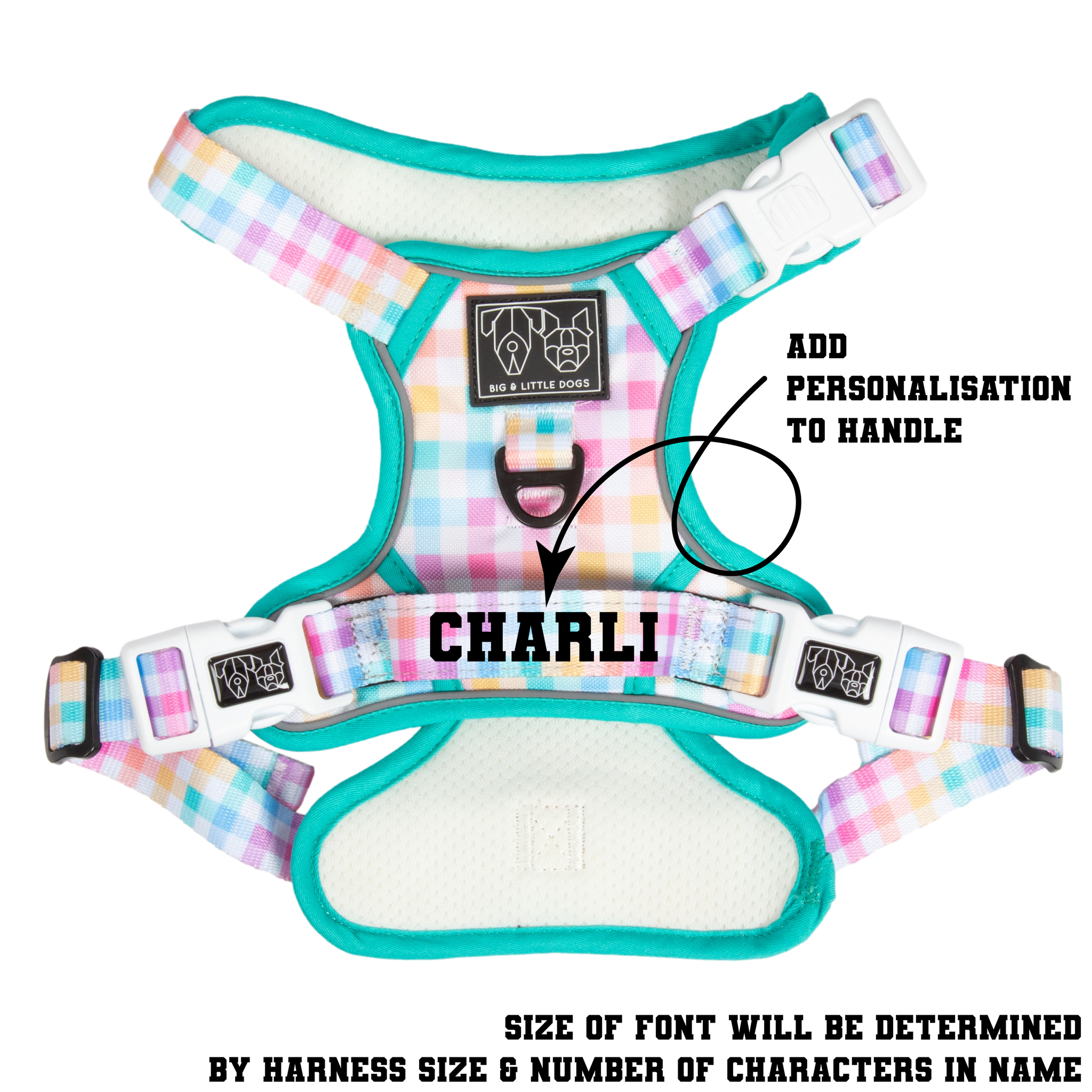 All-Rounder Dog Harness Rainbow Gingham