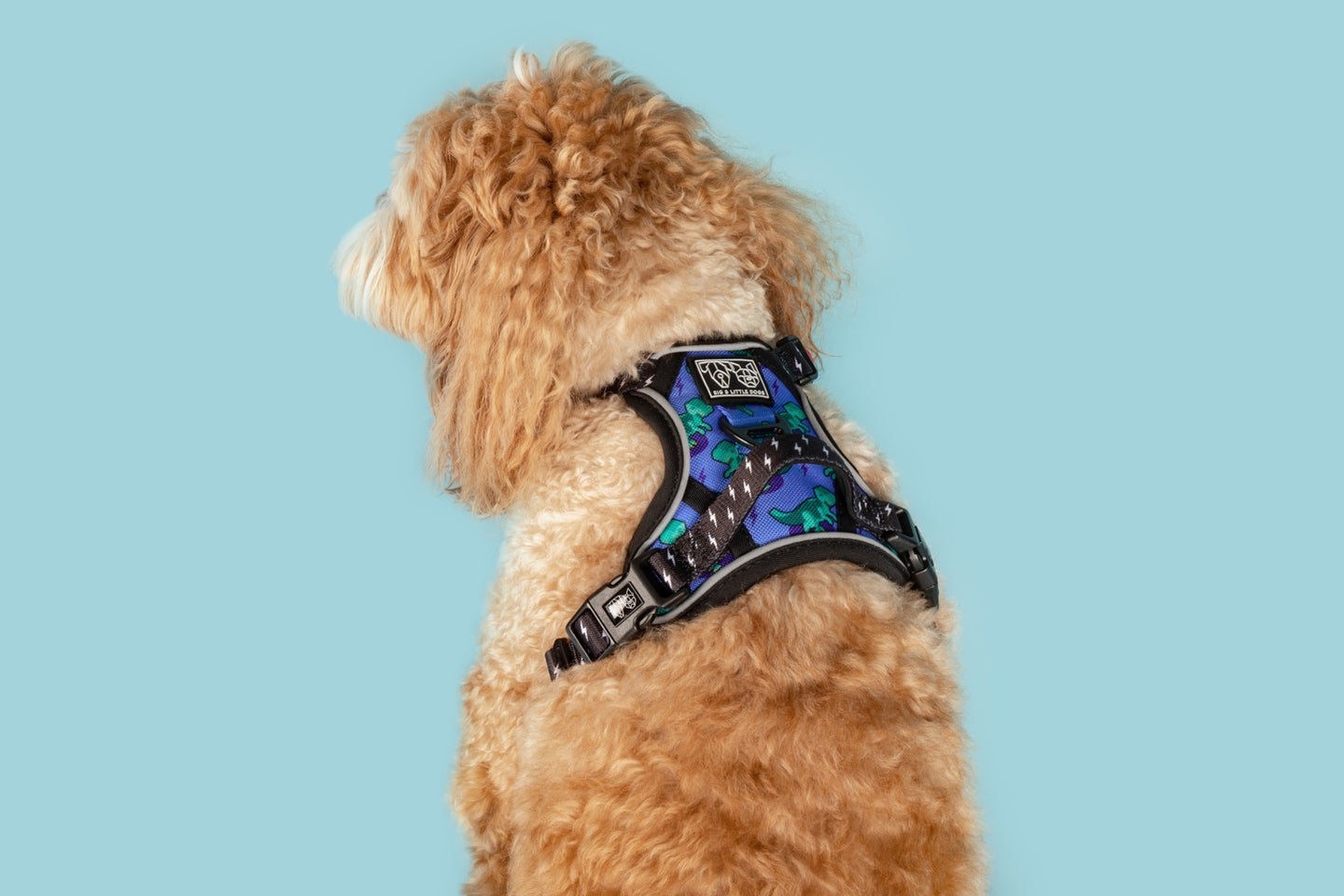 All Rounder Dog Harness Rawr