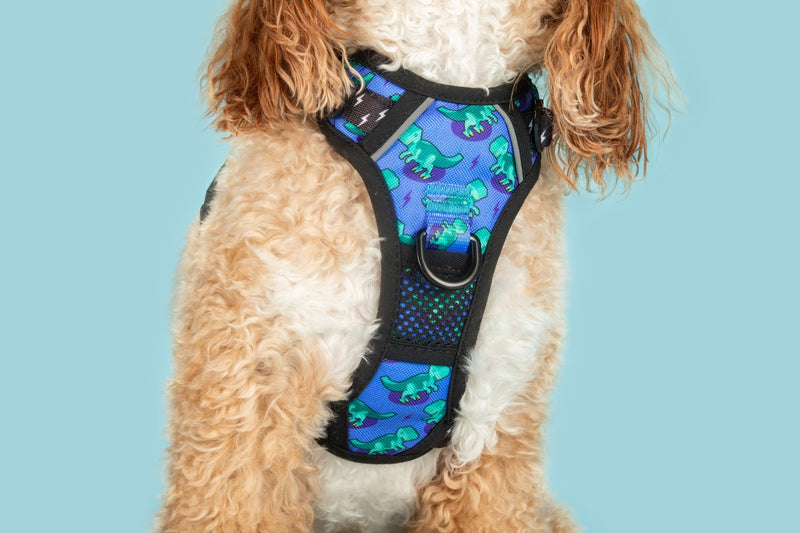 All Rounder Dog Harness Rawr