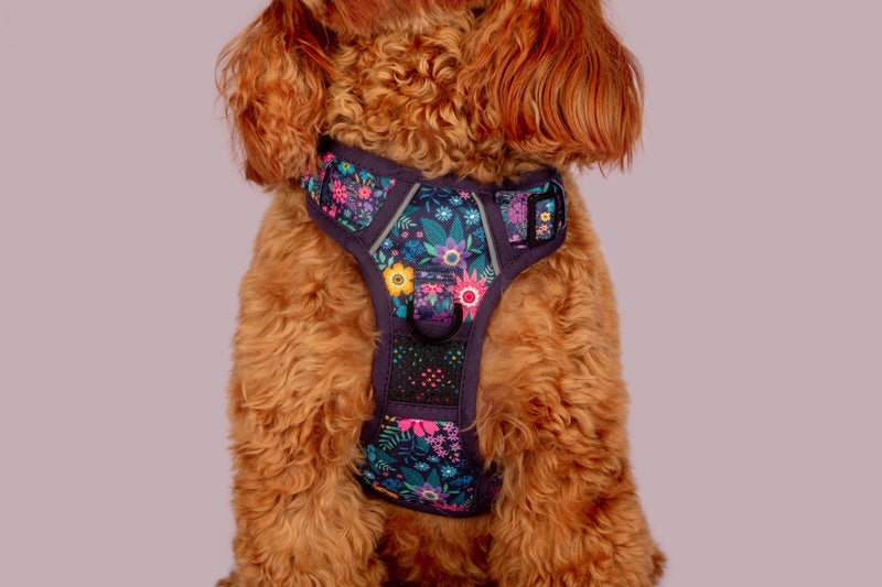 All Rounder Dog Harness Stop and Smell the Flowers