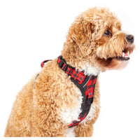 All Rounder Harness No Pull Front Clip Harness Red and Black Plaid