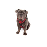 All Rounder Harness No Pull Front Clip Harness Red and Black Plaid