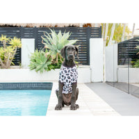 Dog Rashie UPF 50+ Ultimate Sun Protection Beachwear Leopard