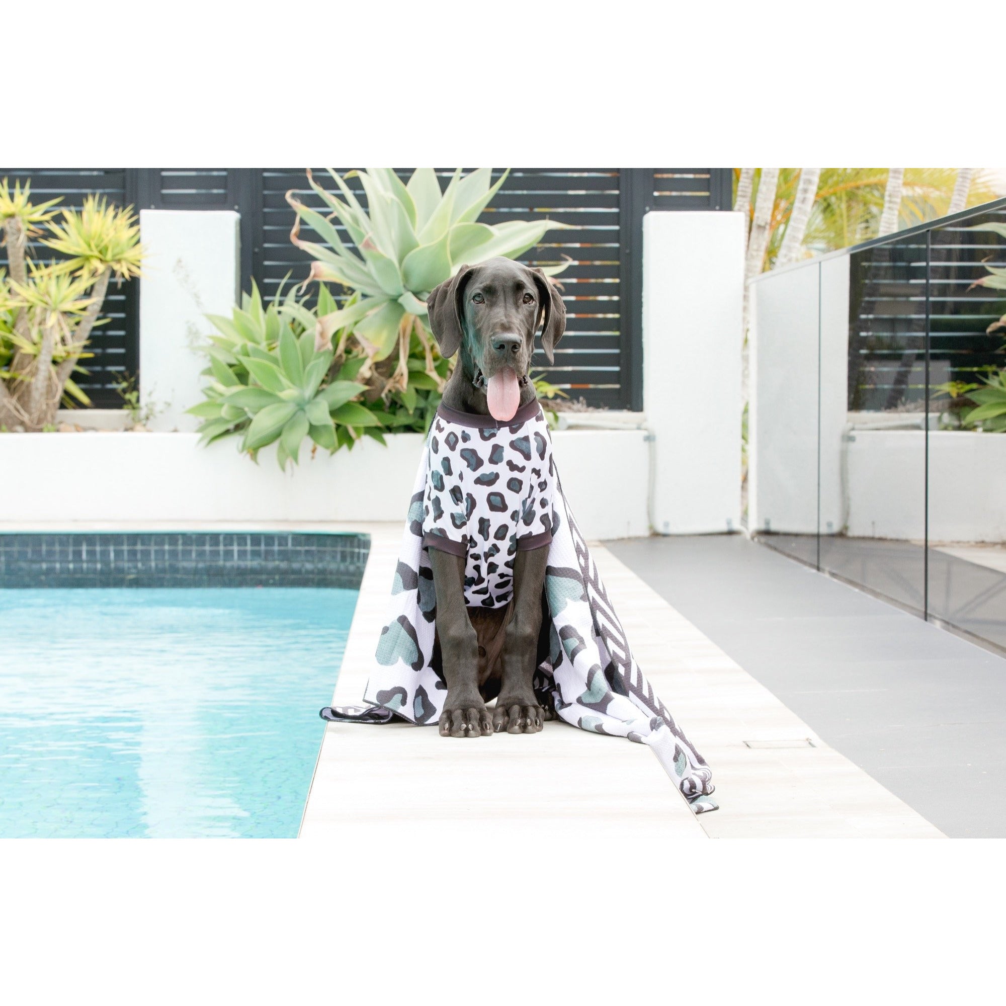 Dog Rashie UPF 50+ Ultimate Sun Protection Beachwear Leopard