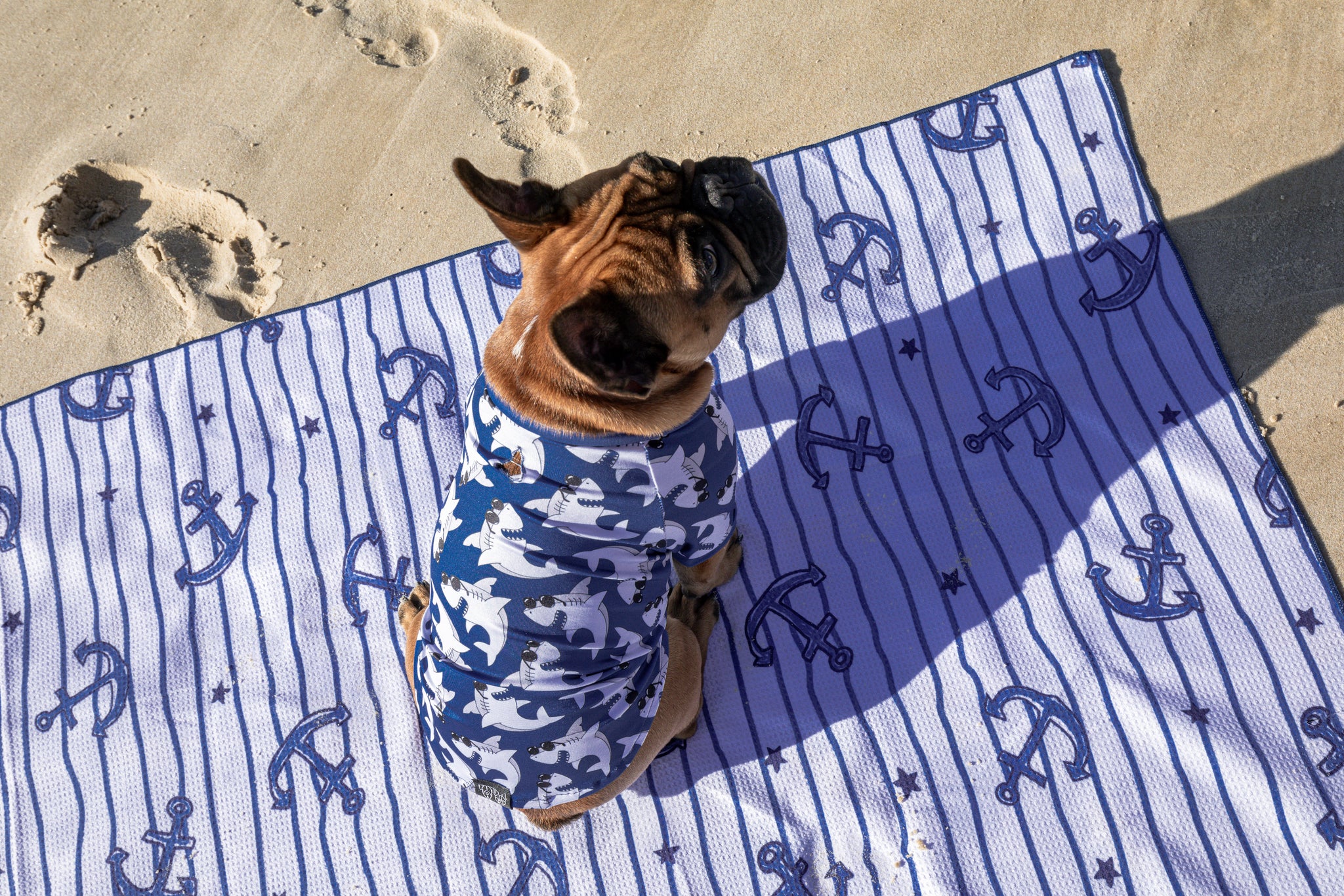 Dog Beach Rashie Bite Me Blue Sharks