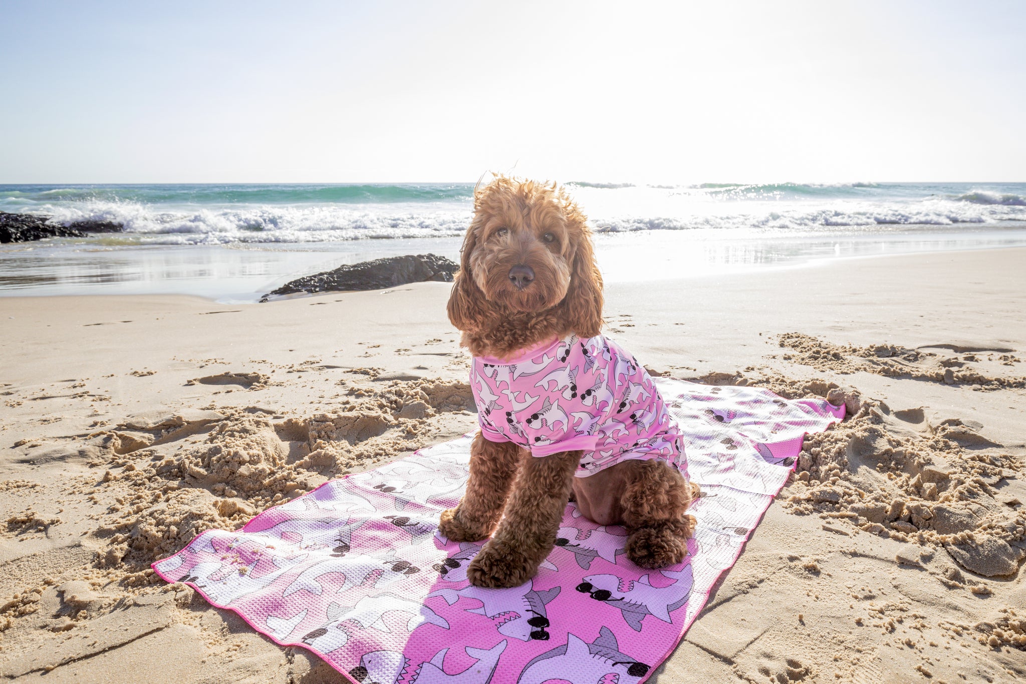 Dog Beach Rashie Bite Me Pink Sharks