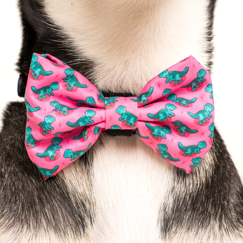 Dog Collar and Bow Tie Princess-asaurus Pink Dinosaurs
