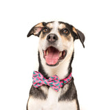 Dog Collar and Bow Tie Princess-asaurus Pink Dinosaurs