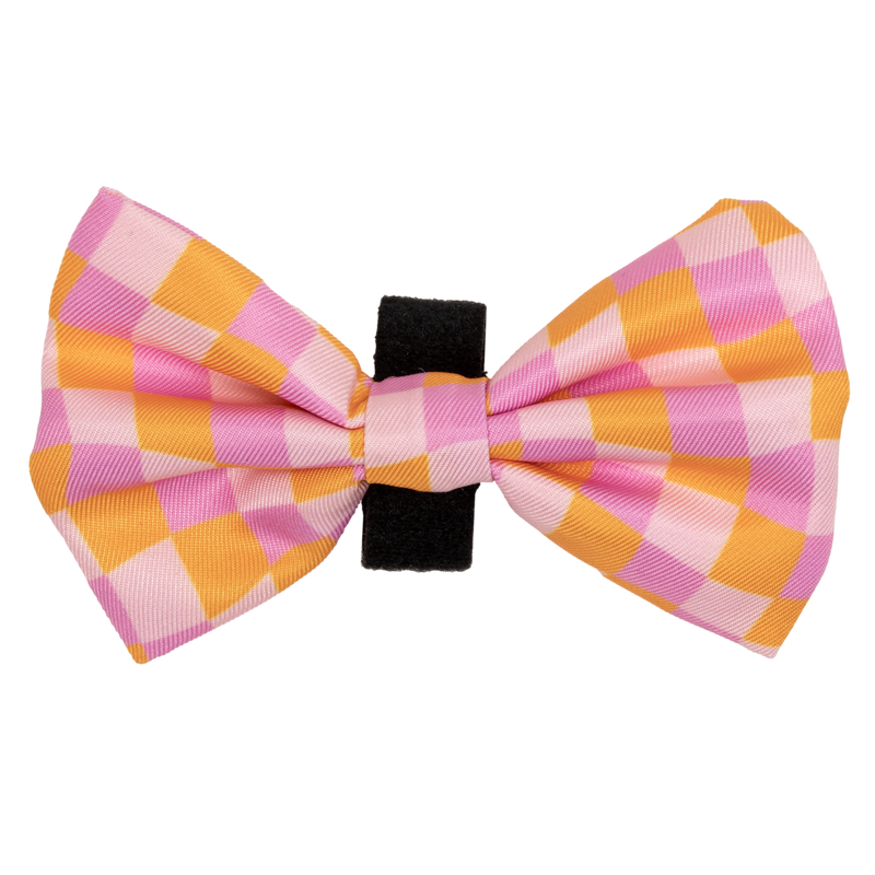 DOG BOW TIE | Check Yo&