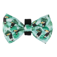 DOG BOW TIE: Toucan Do It {FINAL SALE}