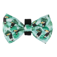 DOG BOW TIE: Toucan Do It {FINAL SALE}