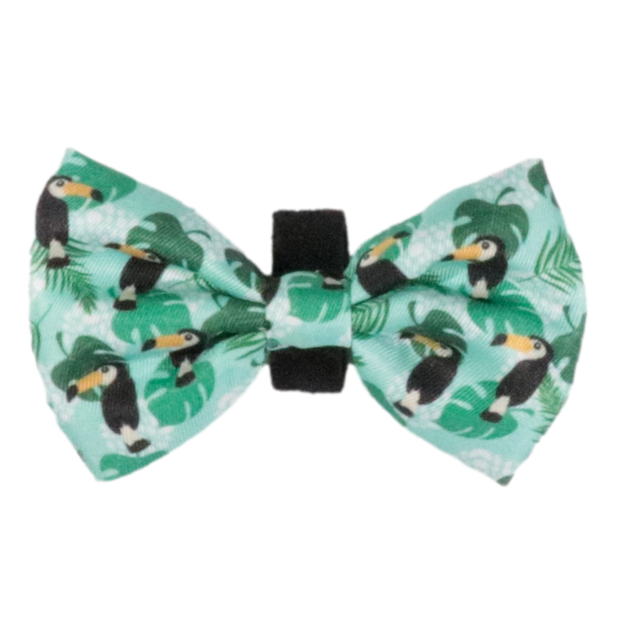 DOG BOW TIE: Toucan Do It {FINAL SALE}